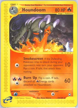 Houndoom #14