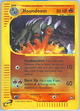 Houndoom #14