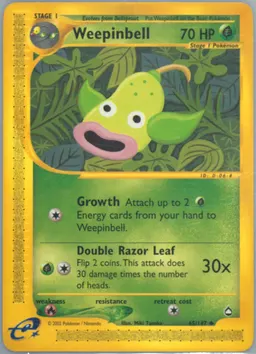 Weepinbell #65