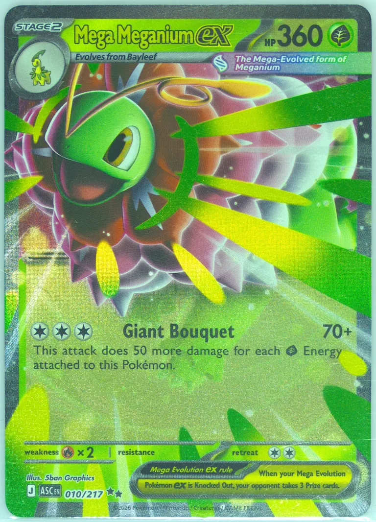 Mega Meganium ex card photo
