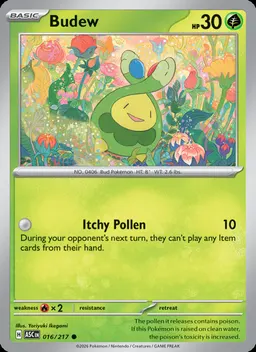 Budew #16