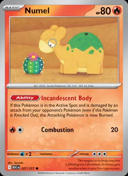 Numel #27