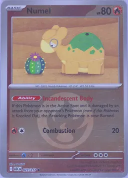 Numel #27