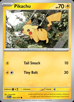 Pikachu #55