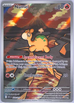 Numel #223
