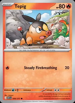 Tepig #29