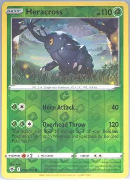 Heracross #8
