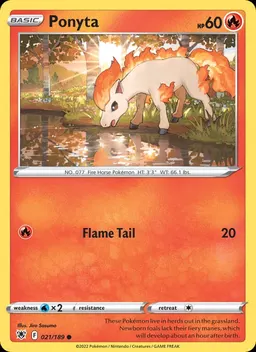 Ponyta #21
