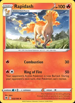 Rapidash #22