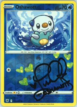 Oshawott #41