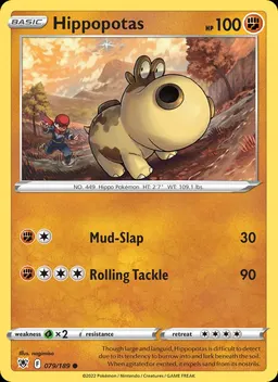 Hippopotas #79
