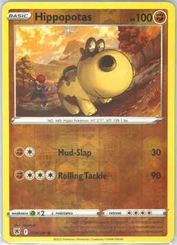 Hippopotas #79