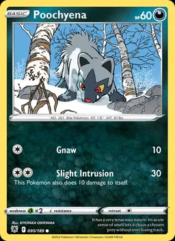 Poochyena #95