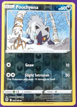 Poochyena #95