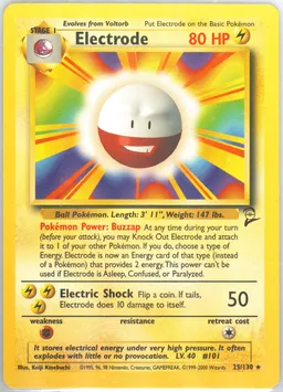 Electrode #25