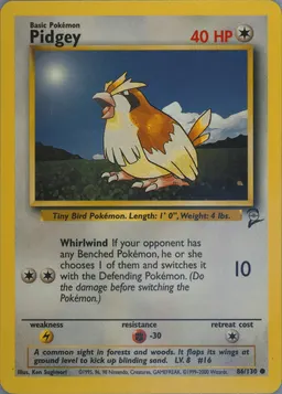 Pidgey card photo