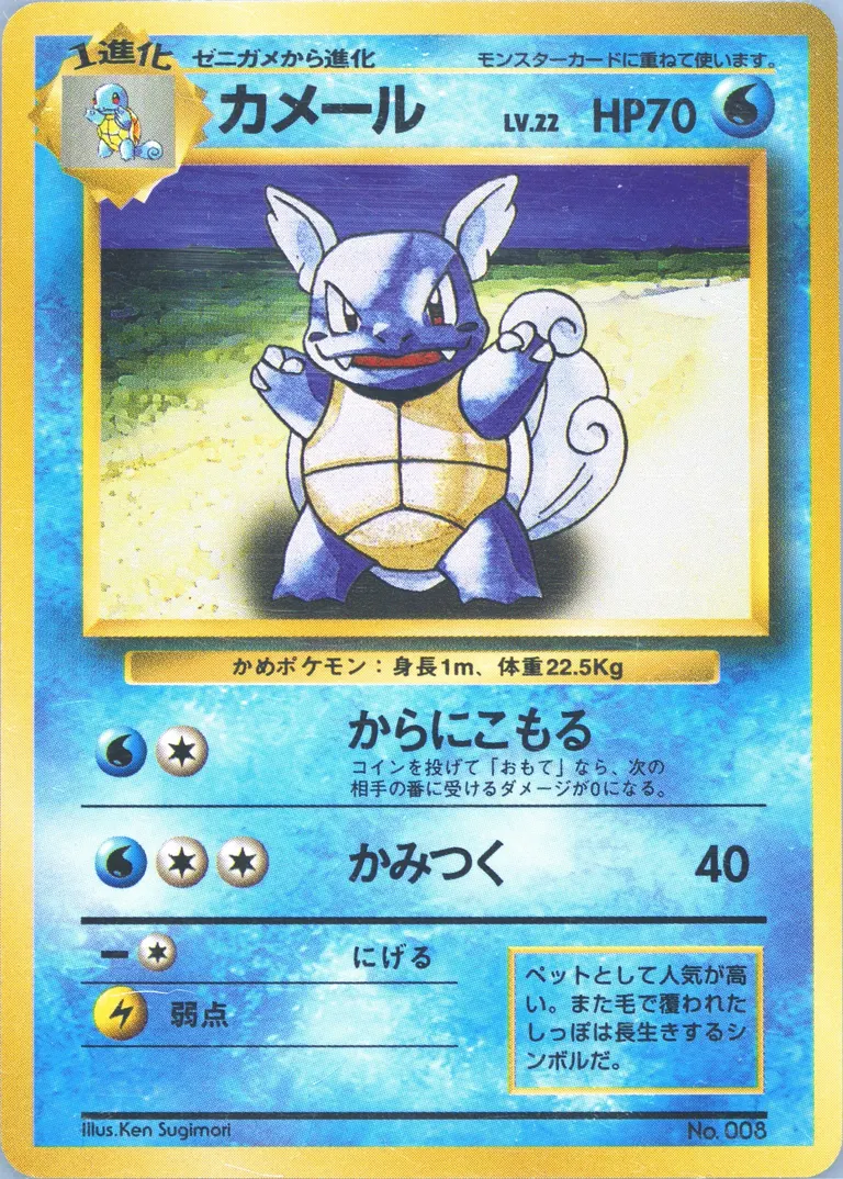 Wartortle card photo