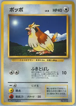 Pidgey card photo