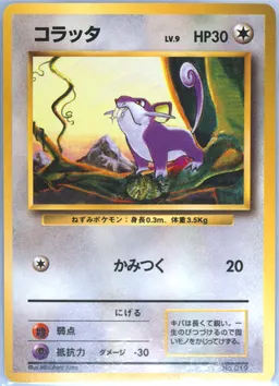 Rattata #19