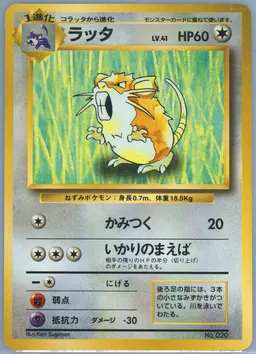 Raticate #20