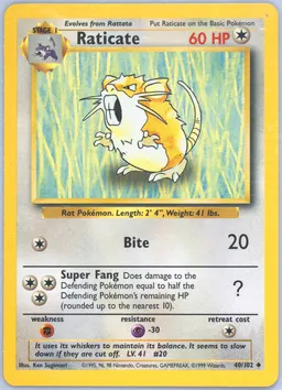Raticate #40