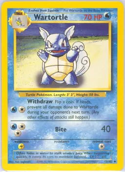 Wartortle card photo