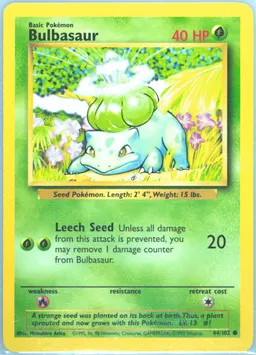 Bulbasaur card photo