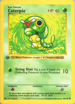 Caterpie card photo