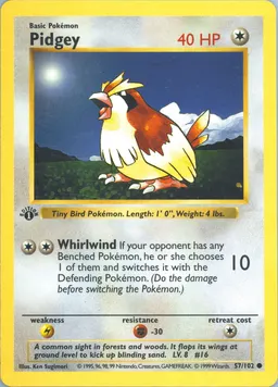 Pidgey card photo
