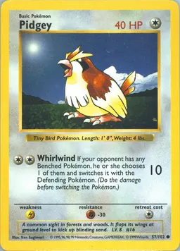 Pidgey card photo