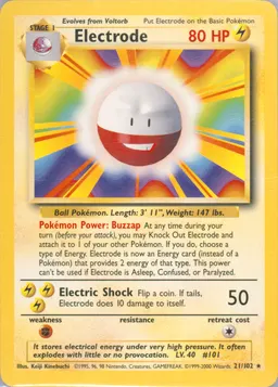Electrode #21