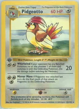 Pidgeotto #22