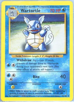 Wartortle #42
