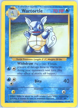 Wartortle #42