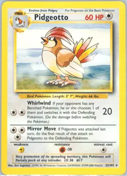 Pidgeotto #22