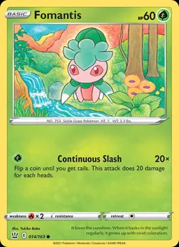 Fomantis #14