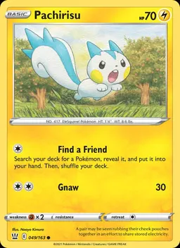 Pachirisu #49