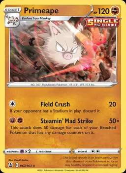 Primeape #67