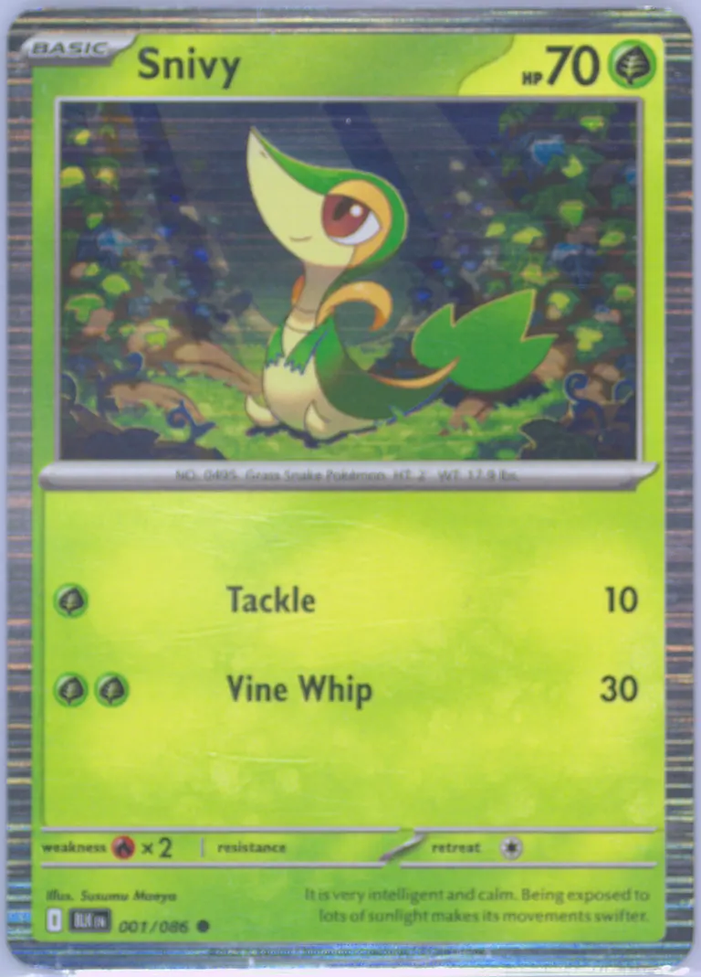 Snivy card photo