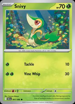 Snivy card photo
