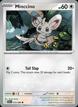 Minccino #75