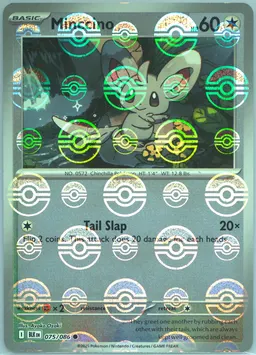 Minccino #75