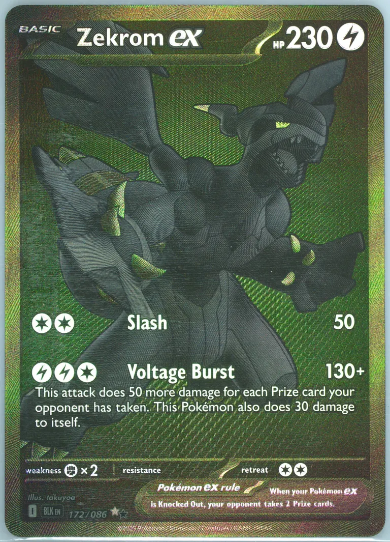 Zekrom ex card photo