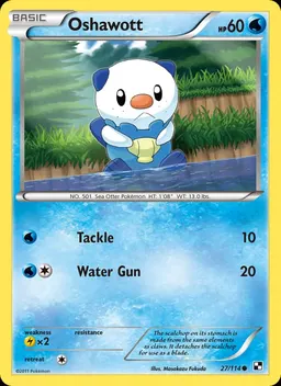 Oshawott card photo
