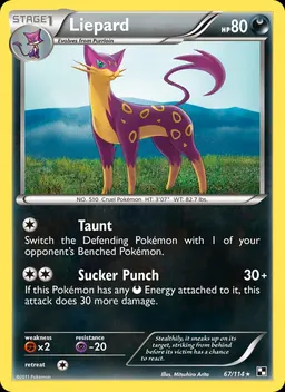 Liepard card photo