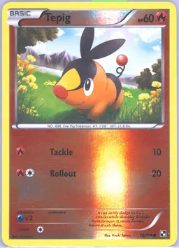 Tepig #15