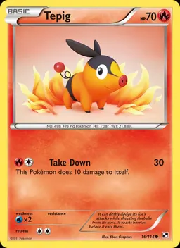 Tepig #16