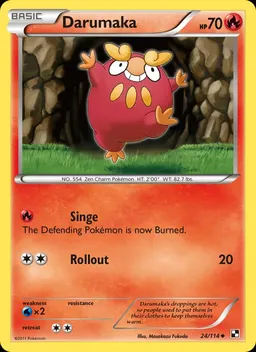 Darumaka #24