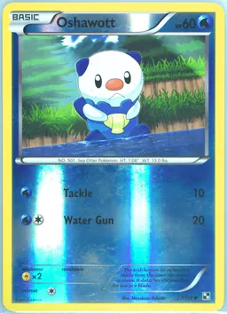 Oshawott #27