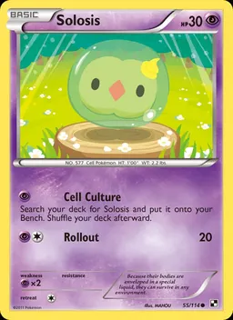 Solosis #55